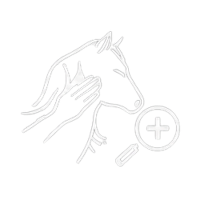 Physiotherapeutische Begleitung Physiotherapeutische Begleitung